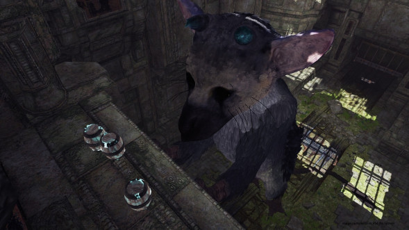 The Last Guardian: Последний хранитель [PS4, русские субтитры] в Нижнем Тагиле