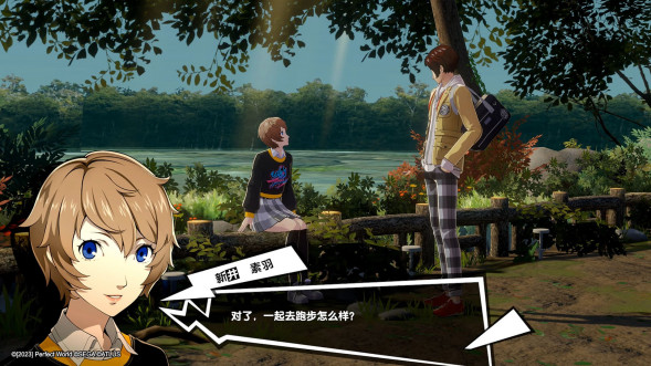 Persona 5 Royal [Nintendo Switch, английская версия] в Нижнем Тагиле