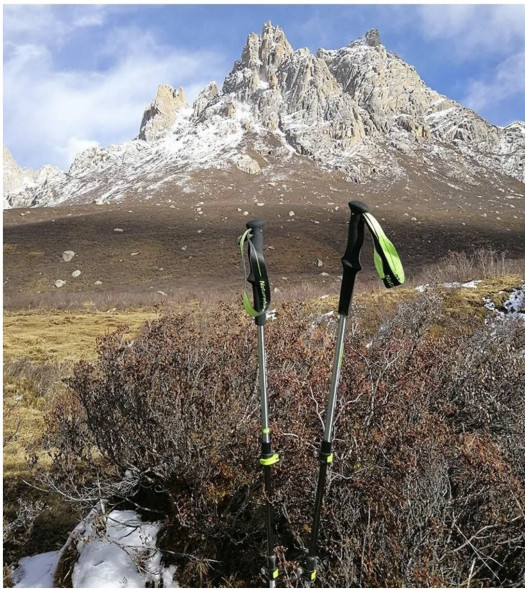 Треккинговая палка Naturehike 135 см, 1шт., серый/зеленый в Нижнем Тагиле