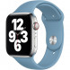 Ремешок для Apple Watch 40mm Northern Blue Sport Band (MYD02ZM/A), скандинавский синий в Нижнем Тагиле