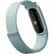 Фитнес-браслет Google Fitbit Air (Серо-голубой/Fog) в Нижнем Тагиле