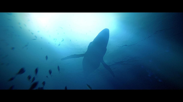 Игра Under The Waves [PS4, русские субтитры] в Нижнем Тагиле